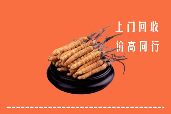高价求购：沙湾区回收散虫草