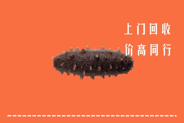 高价求购：沙湾区回收海参