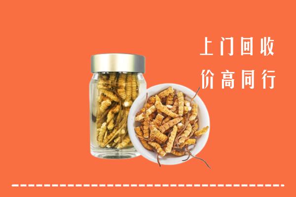 沙湾区回收冬虫夏草